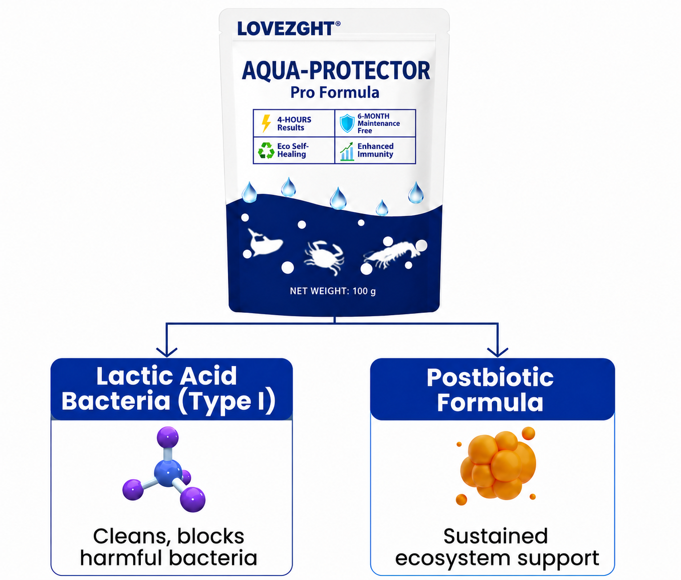 🌟 Official Store |⏱️ Crystal Clear in 24 Hours! | LOVEZGHT® Aqua-Protector Pro Formula