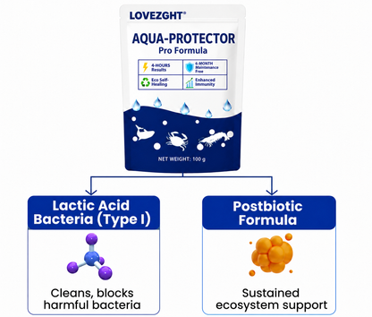 🌟 Official Store |⏱️ Crystal Clear in 24 Hours! | LOVEZGHT® Aqua-Protector Pro Formula